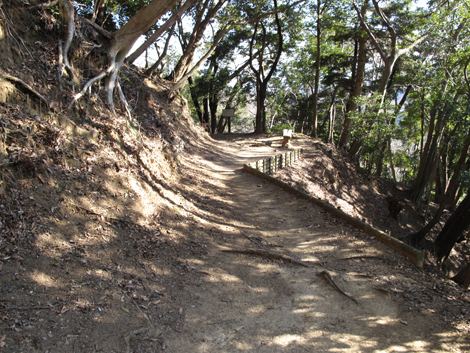 20170126hike (496)
